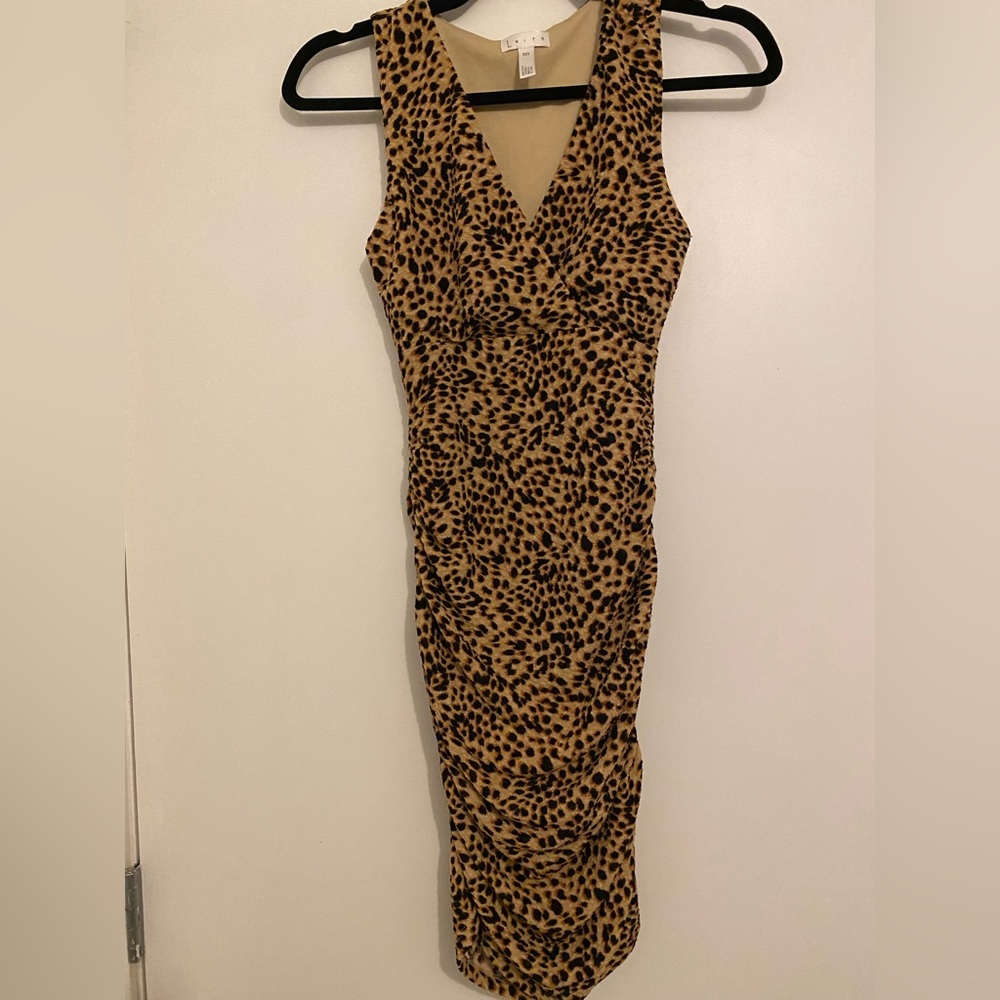 Super fun leopard dress from Nordstrom!